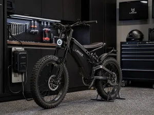 Lance Electric Bike Max