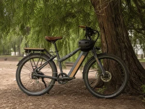 Cedar City Bike Pro